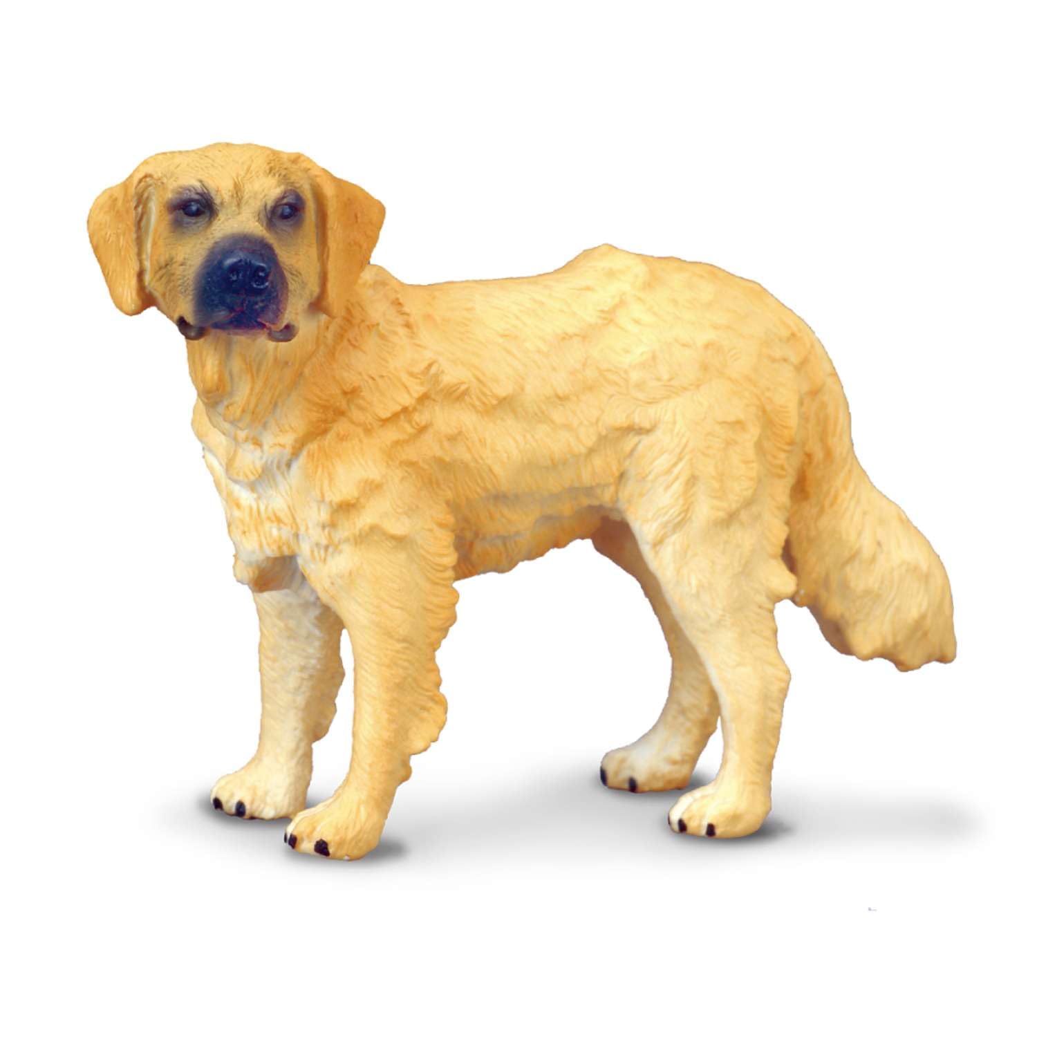 Amazon.co.jp: ゴールデン・レトリーバー - Golden Retriever : Toys
